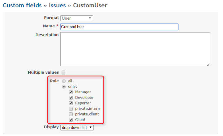 input custom issue field - type user